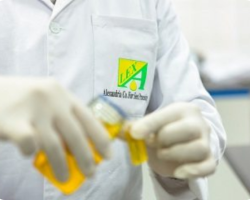 Alex-Seed-Factory-229-1 Alex-Seed-Factory-229-1